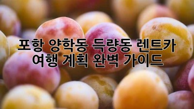 포항 양학동, 득량동 렌트카 여행 계획 완벽 가이드